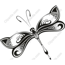 Elegant Butterfly