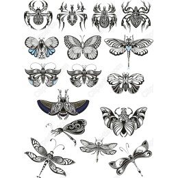 Elegant Insect Bundle