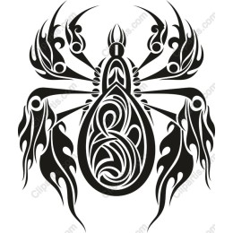Intricate Spider