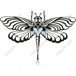 Elegant Dragonfly