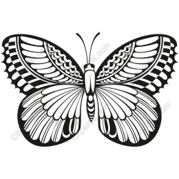 Intricate Butterfly