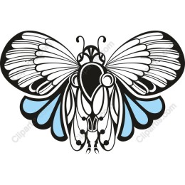 Intricate Butterfly