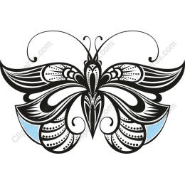 Elegant Butterfly