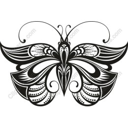Elegant Butterfly work