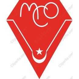 Vibrant Red Diamond Logo