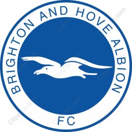 Brighton and Hove Albion FC Seagull Logo