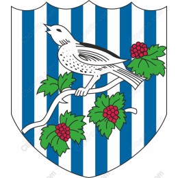 Nature's Charm: Bird and Berry