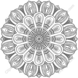 Intricate Mandala