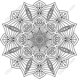 Intricate Mandala Coloring