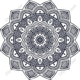 Elegant Mandala