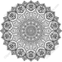 Exquisite Mandala