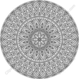 Intricate Mandala