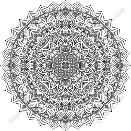 Intricate Mandala