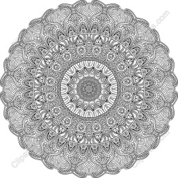 Intricate Mandala