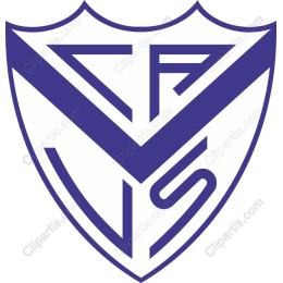 Stylized Shield Logo