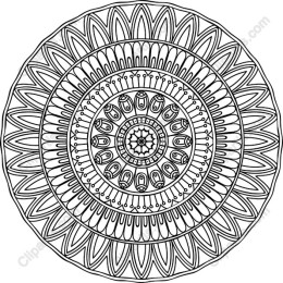 Intricate Mandala