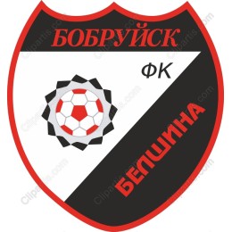 FC Belshina Bobruisk Football Club