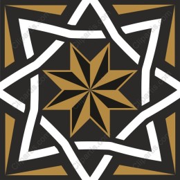 Elegant Geometric Star