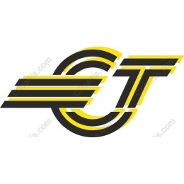 Dynamic Transportation Logo