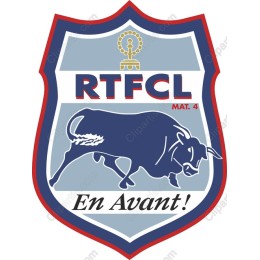 Dynamic Bull Emblem