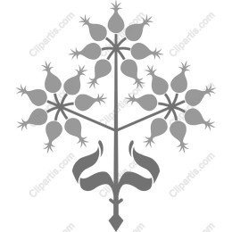 Floral Symmetry
