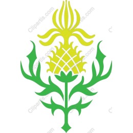 Tropical Pineapple