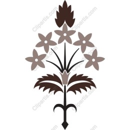 Elegant Floral