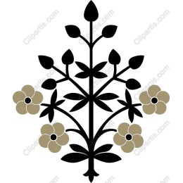 Elegant Floral