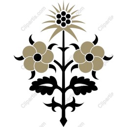 Elegant Floral
