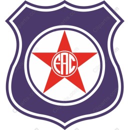 Premium Star Shield Emblem