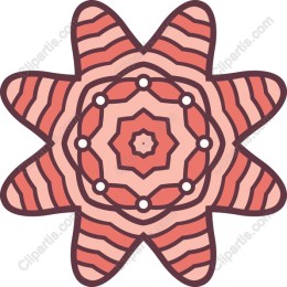 Coral Starburst