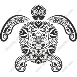 Intricate Black and White Turtle