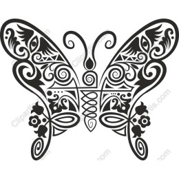 Ornate Butterfly