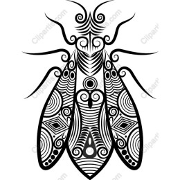 Ornate Insect