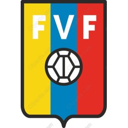 Vibrant Soccer Emblem