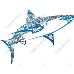 Elegantly ed Shark