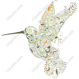Elegant Hummingbird