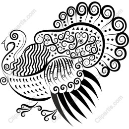 Elegant Black and White Peacock