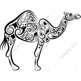 Ornate Black and White Camel
