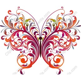 Vibrant Butterfly