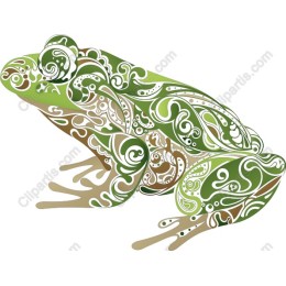 Ornate Frog