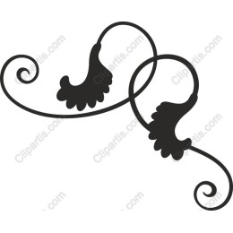 Elegant Floral