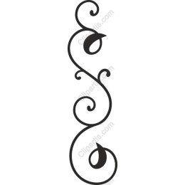 Elegant Swirl