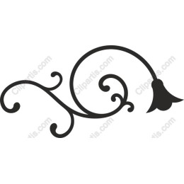 Elegant Floral Swirl
