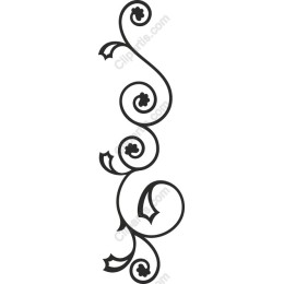 Elegant Decorative Flourish