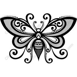 Elegant Butterfly