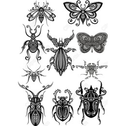 Intricate Insect Collection