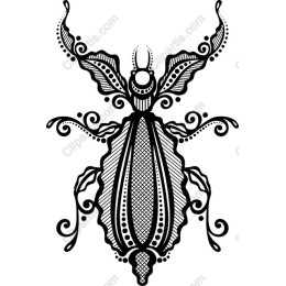 Ornate Beetle