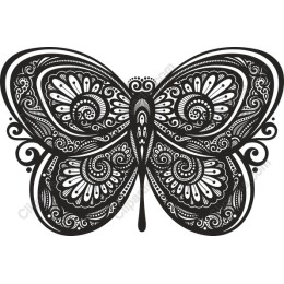 Intricate Black and White Butterfly