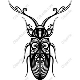 Ornate Beetle